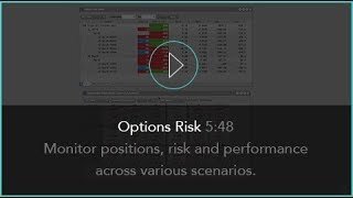 Options Risk 